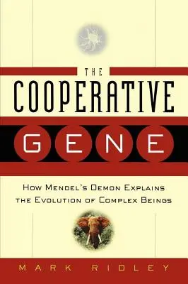 Współpracujący gen - Cooperative Gene