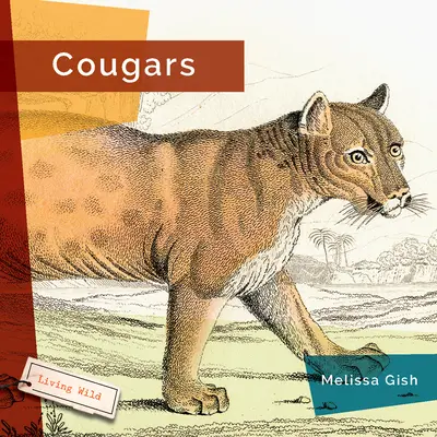 Kuguary - Cougars