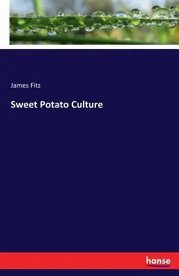 Kultura słodkich ziemniaków - Sweet Potato Culture
