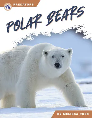 Niedźwiedzie polarne - Polar Bears