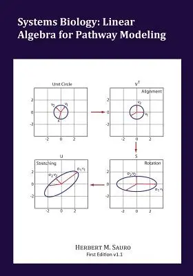 Biologia systemów: Algebra liniowa dla modelowania ścieżek - Systems Biology: Linear Algebra for Pathway Modeling