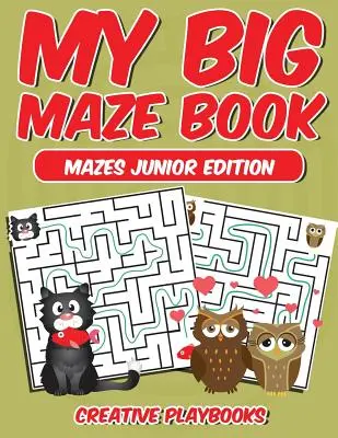 Moja wielka księga labiryntów - wydanie dla juniorów - My Big Maze Book Mazes Junior Edition