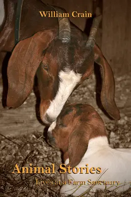 Historie zwierząt: Życie w sanktuarium na farmie - Animal Stories: Lives at a Farm Sanctuary