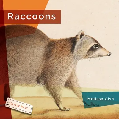 Szopy - Raccoons