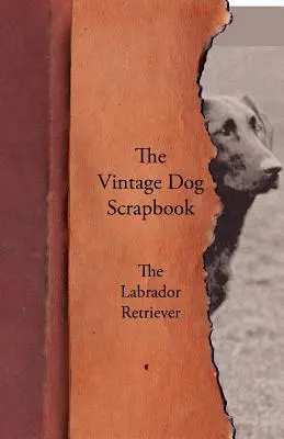 Album o psach w stylu vintage - Labrador Retriever - The Vintage Dog Scrapbook - The Labrador Retriever