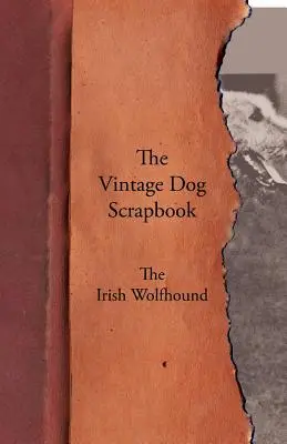 The Vintage Dog Scrapbook - Wilczarz irlandzki - The Vintage Dog Scrapbook - The Irish Wolfhound