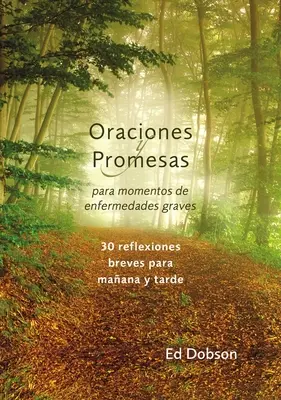 Oraciones y promesas Softcover Modlitwy i obietnice w obliczu choroby zagrażającej życiu - Oraciones y promesas Softcover Prayers and Promises When Facing a Life-Threatening Illness