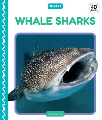 Rekiny wielorybie - Whale Sharks