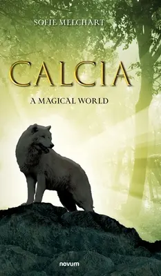 Calcia: Magiczny świat - Calcia: A Magical World