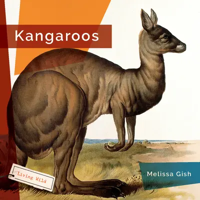 Kangury - Kangaroos