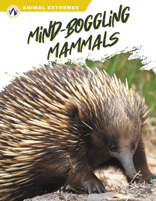 Zadziwiające ssaki - Mind-Boggling Mammals