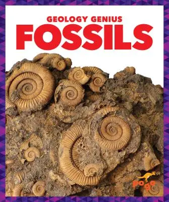 Skamieniałości - Fossils