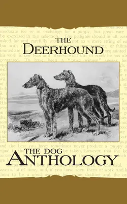 The Deerhound - Antologia psów (A Vintage Dog Books Breed Classic) - The Deerhound - A Dog Anthology (A Vintage Dog Books Breed Classic)