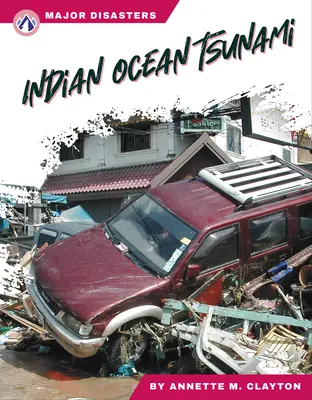 Tsunami na Oceanie Indyjskim - Indian Ocean Tsunami
