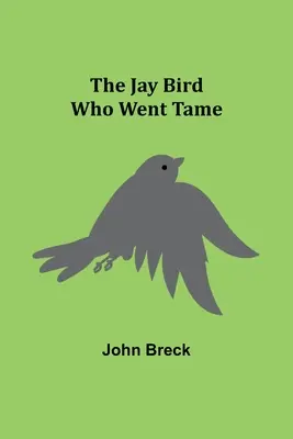 Sójka, która dała się oswoić - The Jay Bird Who Went Tame