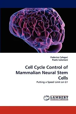 Kontrola cyklu komórkowego neuronalnych komórek macierzystych ssaków - Cell Cycle Control of Mammalian Neural Stem Cells
