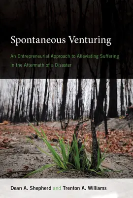 Spontaniczne przedsięwzięcia: Przedsiębiorcze podejście do łagodzenia cierpienia w następstwie katastrofy - Spontaneous Venturing: An Entrepreneurial Approach to Alleviating Suffering in the Aftermath of a Disaster