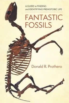 Fantastyczne skamieniałości: Przewodnik po znajdowaniu i identyfikowaniu prehistorycznego życia - Fantastic Fossils: A Guide to Finding and Identifying Prehistoric Life