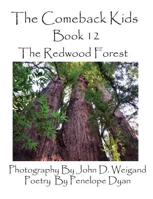 The Comeback Kids, Księga 12, Las sekwoi - The Comeback Kids, Book 12, the Redwood Forest