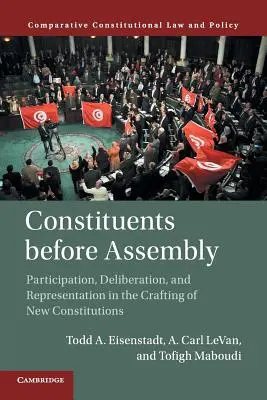 Konstytuanta przed zgromadzeniem: Partycypacja, deliberacja i reprezentacja w tworzeniu nowych konstytucji - Constituents Before Assembly: Participation, Deliberation, and Representation in the Crafting of New Constitutions