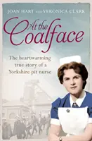 At the Coalface: Pamiętnik pielęgniarki środowiskowej - At the Coalface: The memoir of a pit nurse