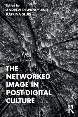 Sieciowy obraz w kulturze postcyfrowej - The Networked Image in Post-Digital Culture