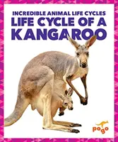 Cykl życia kangura - Life Cycle of a Kangaroo