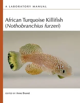 Afrykańska ryba turkusowa (Nothobranchius Furzeri): Podręcznik laboratoryjny - African Turquoise Killifish (Nothobranchius Furzeri): A Laboratory Manual