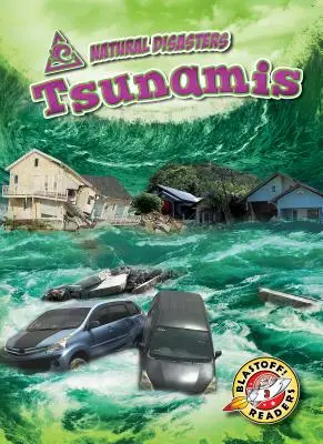 Tsunami - Tsunamis