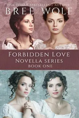 A Forbidden Love Novella Box Set One: powieści 1 - 4 - A Forbidden Love Novella Box Set One: Novellas 1 - 4