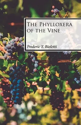 Filoksera winorośli - The Phylloxera of the Vine