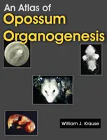 Atlas organogenezy oposów: Rozwój oposa - An Atlas of Opossum Organogenesis: Opossum Development