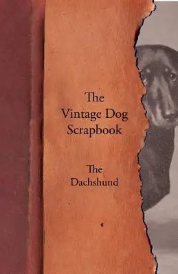 Album o psach w stylu vintage - jamnik - The Vintage Dog Scrapbook - The Dachshund