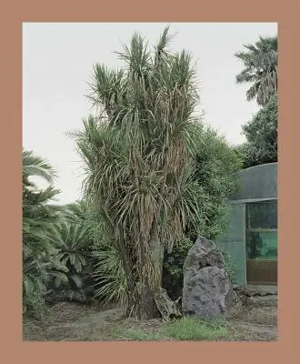 Oksun Kim: Wyspa Jeju - Oksun Kim: Jeju Island