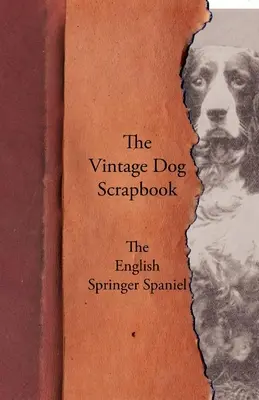 Album o psach w stylu vintage - Springer spaniel angielski - The Vintage Dog Scrapbook - The English Springer Spaniel