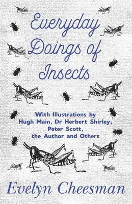 Everyday Doings of Insects - With Illustrations by Hugh Main, Dr Herbert Shirley, Peter Scott, the Author and Others (Z ilustracjami Hugh Maina, dr Herberta Shirleya, Petera Scotta, autora i innych) - Everyday Doings of Insects - With Illustrations by Hugh Main, Dr Herbert Shirley, Peter Scott, the Author and Others