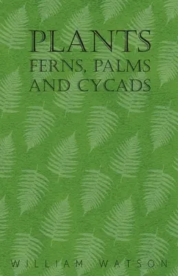 Rośliny - paprocie, palmy i sagowce - Plants - Ferns, Palms and Cycads