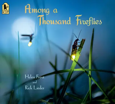 Wśród tysiąca świetlików - Among a Thousand Fireflies