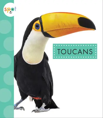 Tukany - Toucans