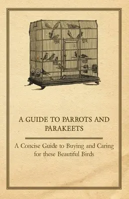 A Guide to Parrots and Parakeets - Zwięzły przewodnik po zakupie i opiece nad tymi pięknymi ptakami - A Guide to Parrots and Parakeets - A Concise Guide to Buying and Caring for These Beautiful Birds