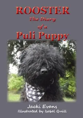 Kogut - pamiętnik szczeniaka rasy puli - Rooster - the Diary of a Puli Puppy