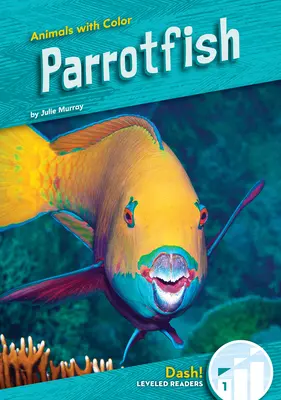 Papugoryby - Parrotfish