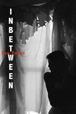 Pomiędzy: (powieść liryczna) - Inbetween: (A Lyric Novel)