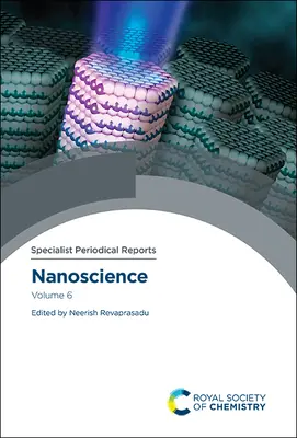 Nanonauka: Tom 6 - Nanoscience: Volume 6