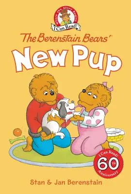 Nowy szczeniak niedźwiedzi Berenstainów - The Berenstain Bears' New Pup
