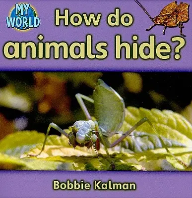 Jak ukrywają się zwierzęta? - How Do Animals Hide?