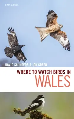 Gdzie obserwować ptaki w Walii - Where to Watch Birds in Wales