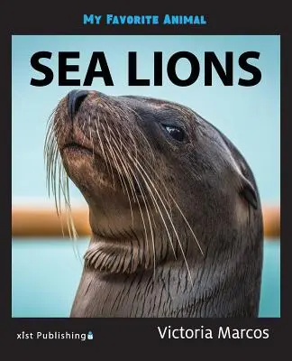 Moje ulubione zwierzę: lwy morskie - My Favorite Animal: Sea Lions