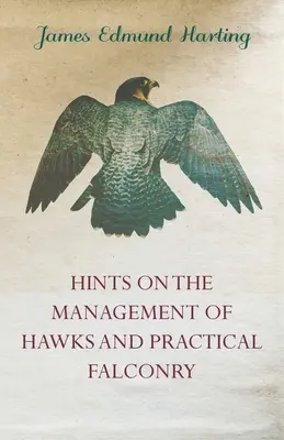 Wskazówki dotyczące zarządzania jastrzębiami i praktycznego sokolnictwa - Hints on the Management of Hawks and Practical Falconry