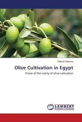 Uprawa oliwek w Egipcie - Olive Cultivation in Egypt